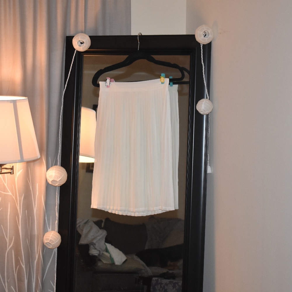 Pleated Chiffon Skirt